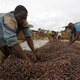 Image for article titled African farmers say they can feed the world, and we might soon need them to